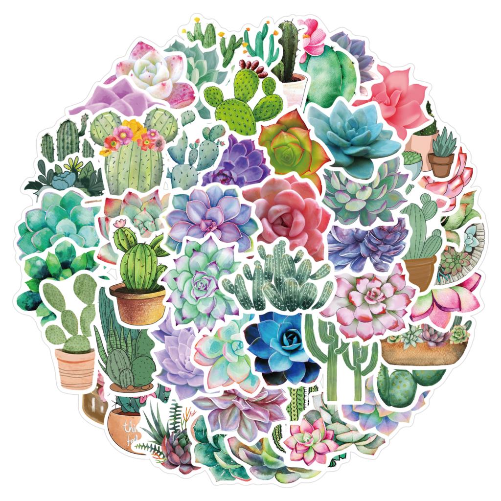 50PCS Succulent Stickers For L - đánh giá và giá Laptop Accessories Girly