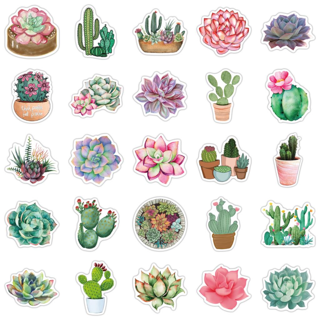 50PCS Succulent Stickers For L - đánh giá và giá Laptop Accessories Girly
