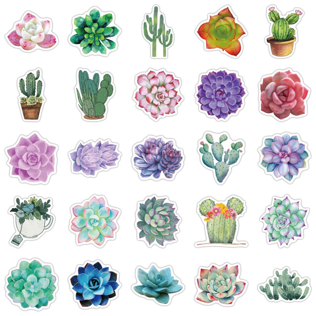 50PCS Succulent Stickers For L - đánh giá và giá Laptop Accessories Girly