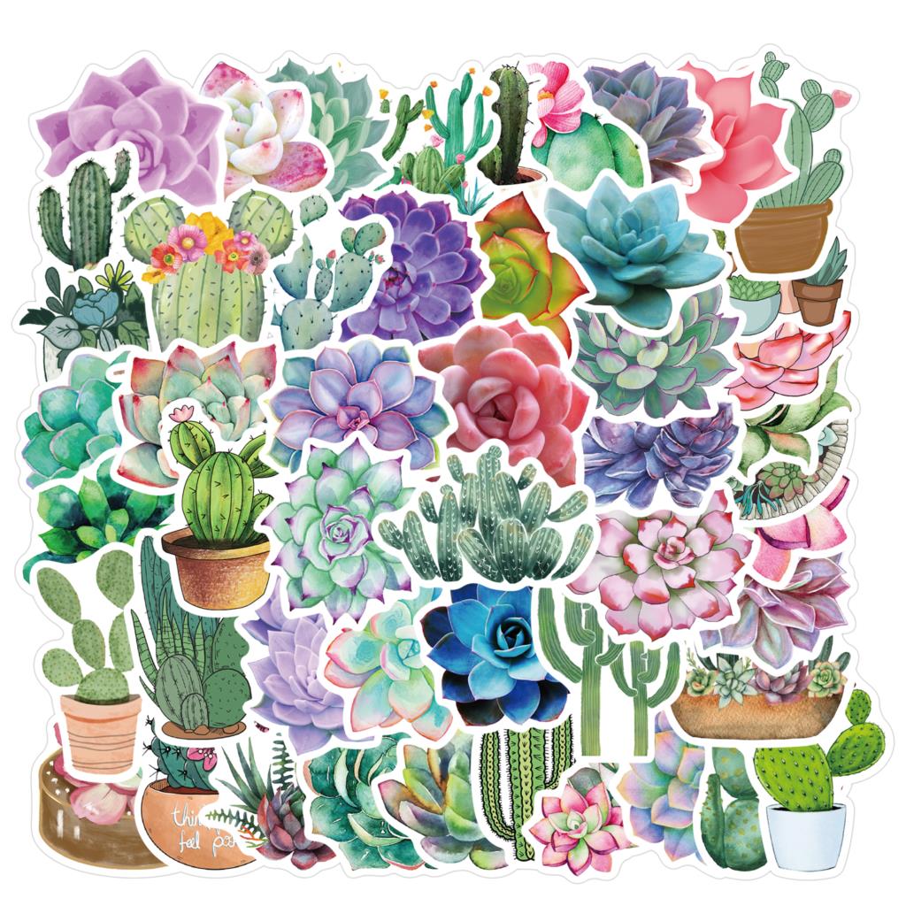 50PCS Succulent Stickers For L - đánh giá và giá Laptop Accessories Girly
